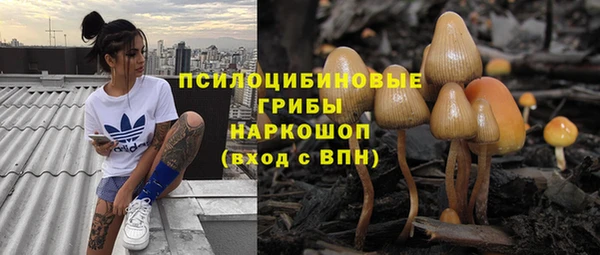 МДПВ Аркадак